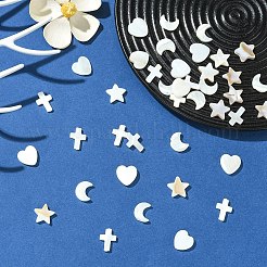 Ensemble de 40 pièce de 4 styles de perles en coquillage d'eau douce naturelle&nbsp;BSHE-YW0001-25