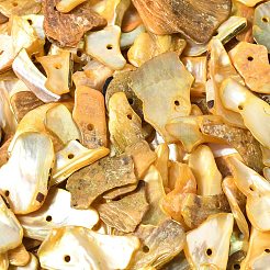 Perline di pepite di conchiglia di madreperla naturale tinta&nbsp;BSHE-O007-10C