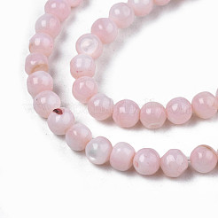 Eau douce naturelle de coquillage perles brins&nbsp;SHEL-N003-24-B09