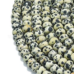 Natur Dalmatiner Jaspis Perlen Stränge&nbsp;G-P575-A01-8x5mm