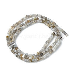Botswana agata naturale perline fili&nbsp;G-F748-C01