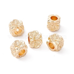 Cremagliera branelli della lega di placcatura&nbsp;FIND-WH0118-02B-G