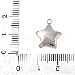 304 Edelstahl Pavé-Anhänger aus synthetischer Muschel&nbsp;STAS-P402-03B-P