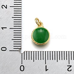 Charms del esmalte de bronce&nbsp;KK-C106-06G
