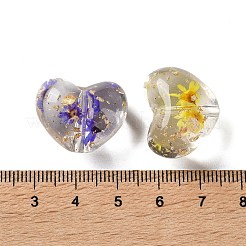 Transparenten Harzkügelchen&nbsp;RESI-B031-02C