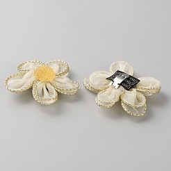 Abnehmbare Schuhschnallenclips aus Spitze und Kunststoff&nbsp;FIND-WH0423-74A