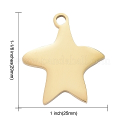 Pendentifs en acier inoxydable 304&nbsp;LS-STAS-I140-13G