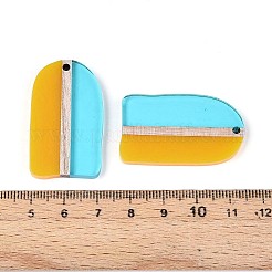 Colgantes de resina transparente y madera&nbsp;RESI-T057-81