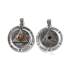 Pendentifs en œil de tigre naturel&nbsp;G-L524-05AS-01