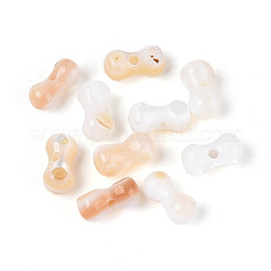 Naturali di acqua dolce perline shell fili&nbsp;SHEL-N038-29A