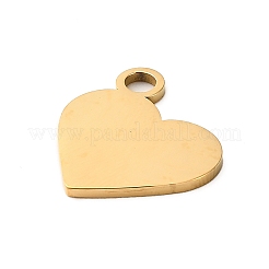 Pendentifs en acier inoxydable 304&nbsp;LS-STAS-M117-01B-G