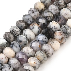 Fili di perline di opale africano nero naturale&nbsp;G-C259-A52-5x8mm