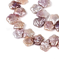 Cuentas de perlas de keshi barroco natural&nbsp;PEAR-S020-A04-02