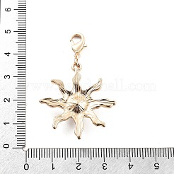 Decoración colgante de rhinestone de aleación&nbsp;LS-HJEW-P021-01G-G