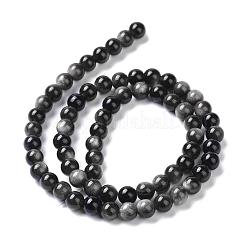 Natürliche silberne Obsidianperlenstränge&nbsp;G-D083-01D
