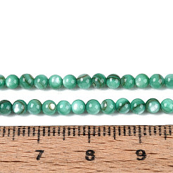 Natürlichen Süßwasser-Muschelperlen Stränge&nbsp;X-BSHE-T009A-01J