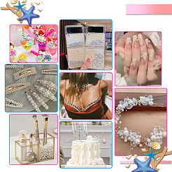 Kits de remplissage de vase&nbsp;FIND-PH0008-80