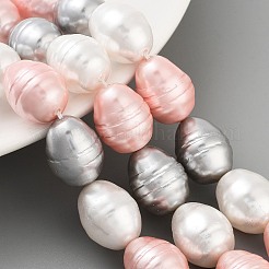 Perles de perles de coquille galvanoplastie&nbsp;BSHE-H110-01-05