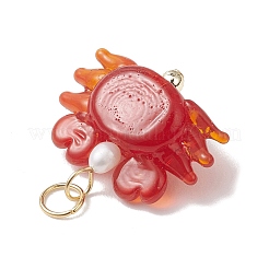 Manuelle Bunte Malerei Anhänger & Charms&nbsp;PALLOY-JF04984
