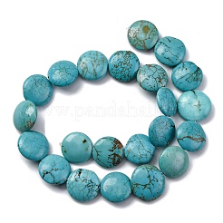 Fili di perline howlite naturale&nbsp;G-F783-H04-01