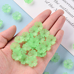 Coupelles en acrylique transparent mat&nbsp;MACR-S371-04A-733