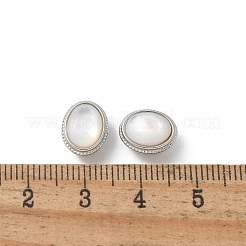 Muschelperlen aus Messing&nbsp;KK-U052-41P