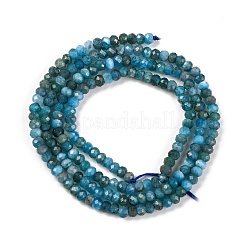 Chapelets de perles en apatite naturelle&nbsp;X-G-F770-D09-02B