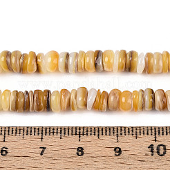 Natürliche Süßwasser-Muschelperlenstränge in Gelb&nbsp;SHEL-T020-30