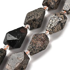 Naturschneeflocke Obsidian Perlen Stränge&nbsp;G-NH0005-B03-01