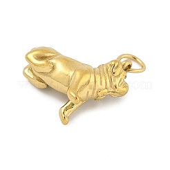Anhänger aus Edelstahl 304&nbsp;LS-STAS-P391-01K-G
