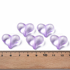 Abalorios de acrílico transparentes&nbsp;MACR-S373-70-B14