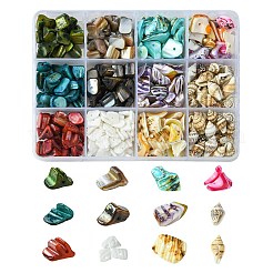 198g 11 Arten natürliche gemischte Muschelperlen-Sets&nbsp;BSHE-FS0001-05