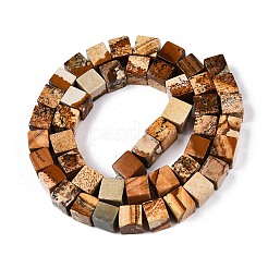 Natürliches Bild Jaspis Perlen Stränge&nbsp;LS-G-T139-8x8-27A