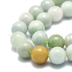 Brins de perles de jade myanmar naturel&nbsp;G-E576-08B