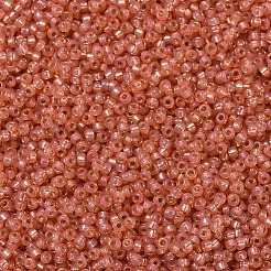 Perles rocailles miyuki rondes&nbsp;LS-X-SEED-G007-RR0553