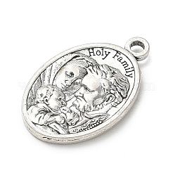 Pendentifs en alliage&nbsp;FIND-E051-01AS-11