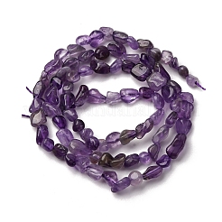Natürlichen Amethyst Perlen Stränge&nbsp;G-I389-A14