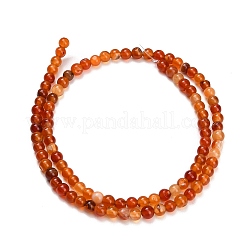 Chapelets de perles en cornaline naturelle&nbsp;GG-CBA1CAF-A01-4mm