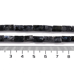 Natürliche Larvikit-Perlenstränge&nbsp;G-C128-A03-01