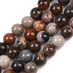 Natürliche versteinertes Holz runden Perle Stränge&nbsp;G-F266-08-8mm