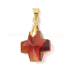 Glas Anhänger / charms&nbsp;PALLOY-JF03997-01