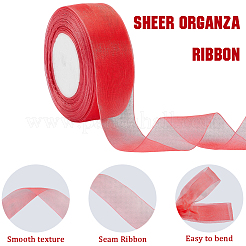 1 Rolle transparentes Organzaband&nbsp;SRIB-CY0001-22B-05