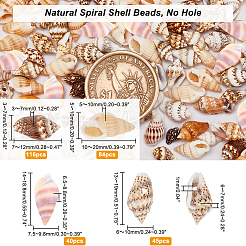 240 perlina di conchiglia naturale e 45 pendenti di conchiglia&nbsp;BSHE-PH0001-28