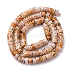 Chapelets de perles en agate naturelle de fleurs de cerisier&nbsp;G-Z006-C48
