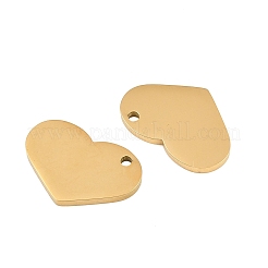 Colgantes de acero inoxidable 304&nbsp;SA-CBAB99D-01G