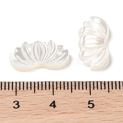 Natürliche geschnitzte Trochus-Muschelperlen&nbsp;SHEL-P017-12