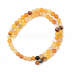 Perline sardonica naturale fili&nbsp;G-S369-002B-B02