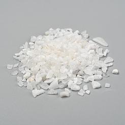 Natürliche weiße Mondsteinsplitterperlen&nbsp;G-L453-10A