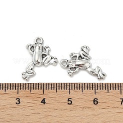 Tibetischer stil Aluminium Anhänger & Charms&nbsp;TIBE-S324-11AS