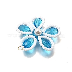 Pendentifs en verre&nbsp;PALLOY-TA00313-01